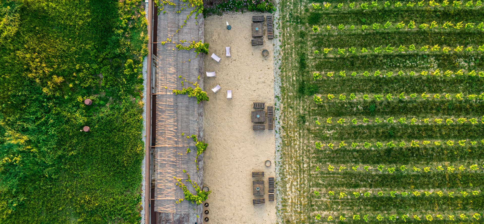 Cosmética natural y eficaz |  Somos conscious beauty