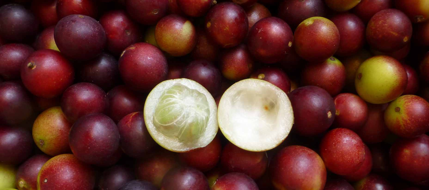 Los dos súper poderes skincare que amarás del CAMU CAMU