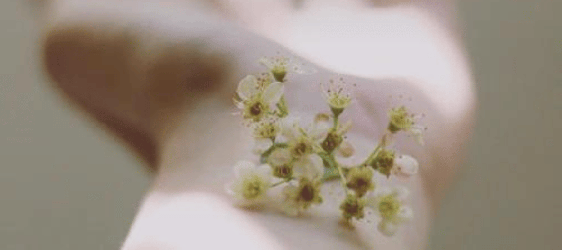 La primavera la piel altera: Guía de como equilibrar la microbiota, tratar y prevenir granitos, rojeces y manchas