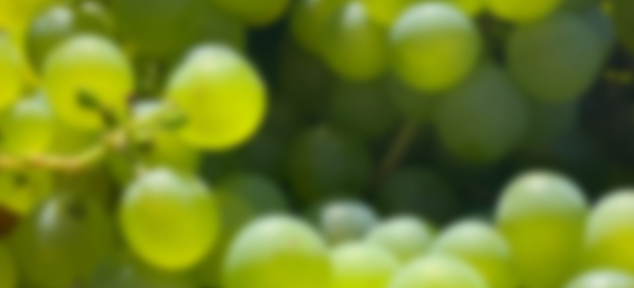 Antioxidantes