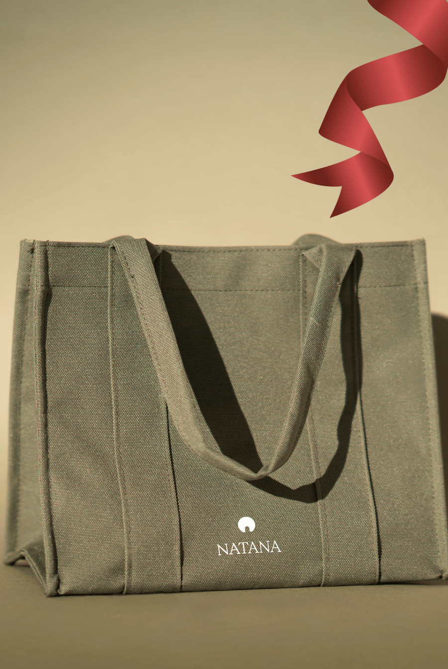 🎁 Mini TOTE BAG NATANA